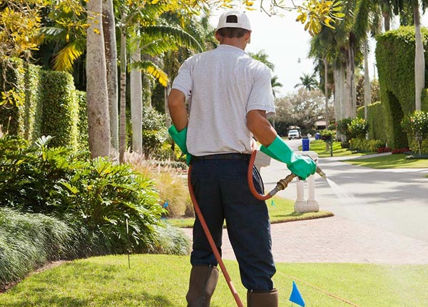 About Sequatchie TN Pest Control Pros
